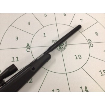 Stoeger X20 S2 .22 With 3-9x40 Scope